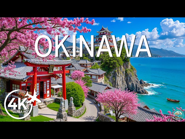 Okinawa Spring 4K 🌸 Stunning Coral Beaches, Early Sakura & Tranquil Island Escape