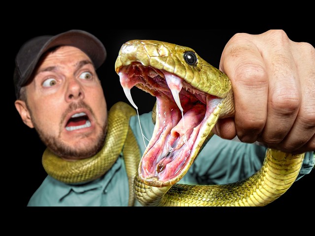 Catching Most Dangerous Animal in Australia! 