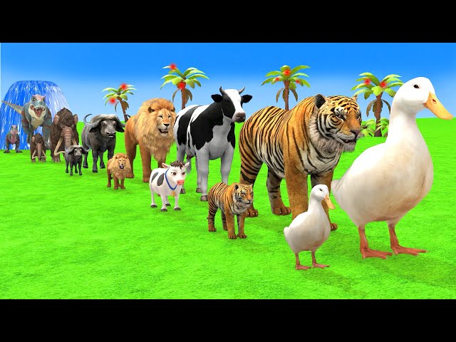 Paint Animals Duck,Tiger,Cow,Lion,Buffalo,Gorilla,Elephant,Dinosaur Fountain Crossing Animal Game Ne