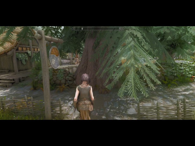"Is This Even Skyrim 2026 Anymore?" (Modlist)