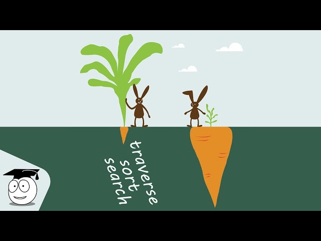 A Different View of Algorithms | Simple Python Tutorials