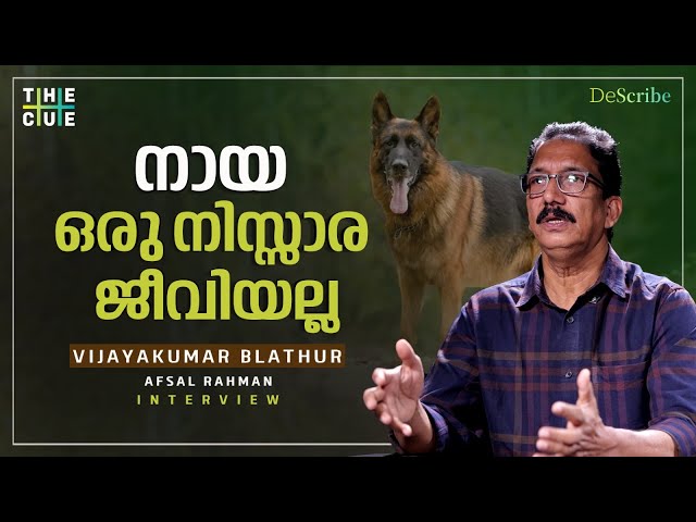 നായ എന്ന നന്ദിയുള്ള ജീവി |  Vijayakumar Blathur Interview | Dog Secrets | DeScribe | The Cue