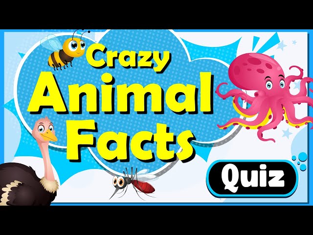 The Ultimate Animal Facts Quiz for Kids | Discover Mind-Blowing Animal Facts with Fun Animations!