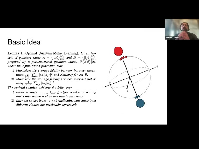 Efficient and Practical BlackBox Verification of Quantum Metric Learning Algorithms (QCNC 2026)