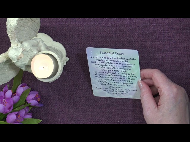 Your Daily Angel Message - A Little Angel Message — What the Angels Want You to Know Today ✨