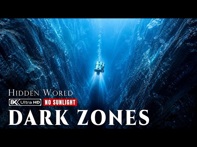 Ocean Dark Zones: The Hidden World Without Sunlight