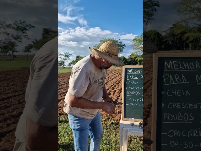 On which moon do you plant cassava? #agro #field #farm #soil #agriculture