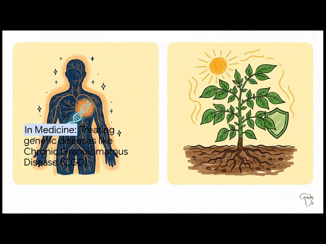 How Prime Editing Works: From CRISPR to PE7 (The Complete Guide)