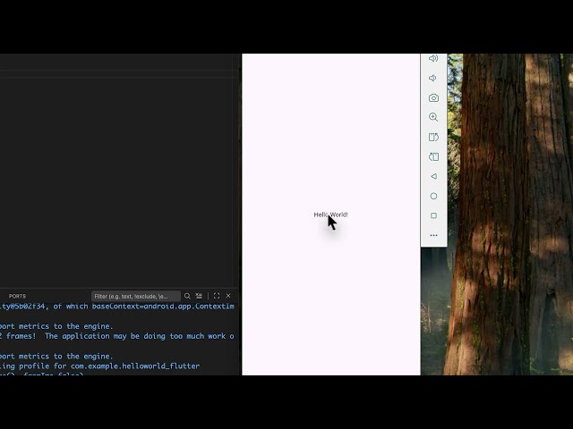 Multi-Platform App Development with Flutter - Study Guide 2 - Dart to Flutter