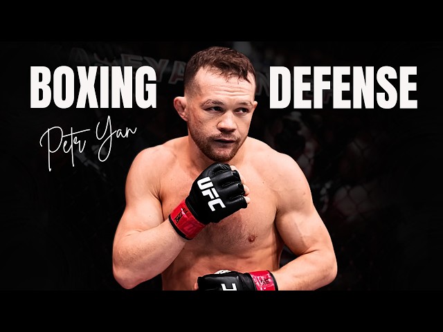 Petr Yan and the High Guard - Boxing for MMA (Pro Striking Breakdown)