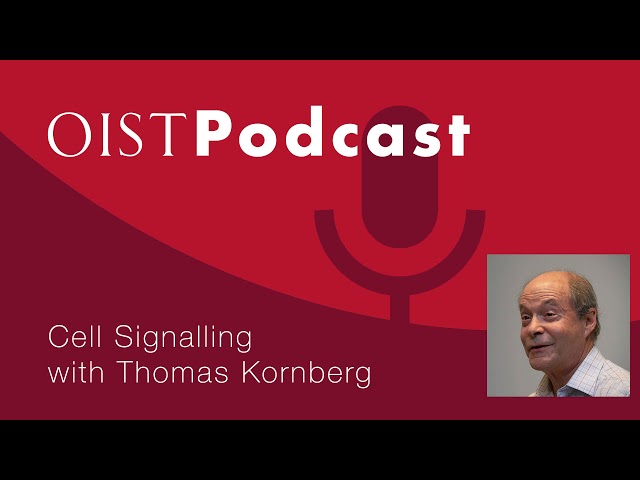 OIST Podcast #07 - Thomas Kornberg