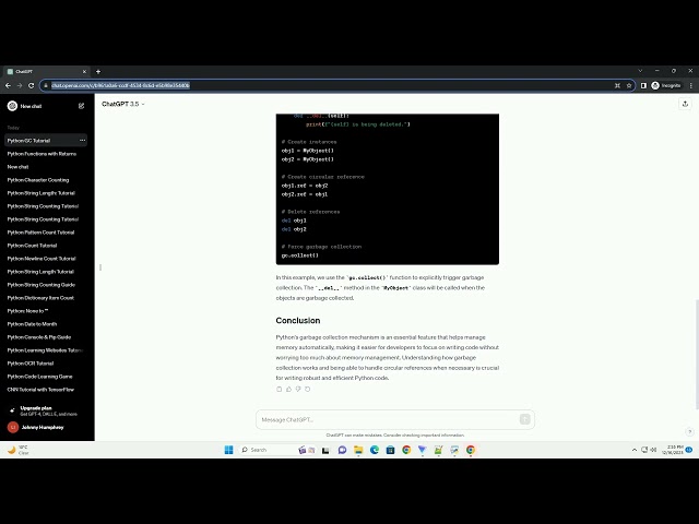 python garbage collection example