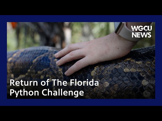 Return of The Florida Python Challenge