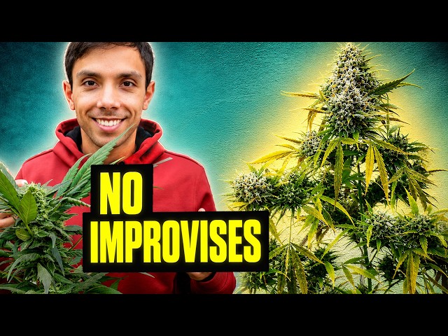 9 Pillars for Success in Outdoor Growing
