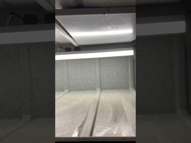 PYTHON ENCLOSURE SET UP CONTINUED- HEAT PANELS