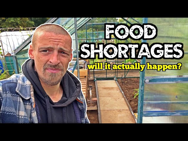 If Food Shortages Actually Happen In The Uk Will it affect Seed Prices? 