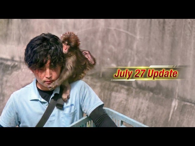 After Punch the Monkey's 1st Birthday — What Really Happened
