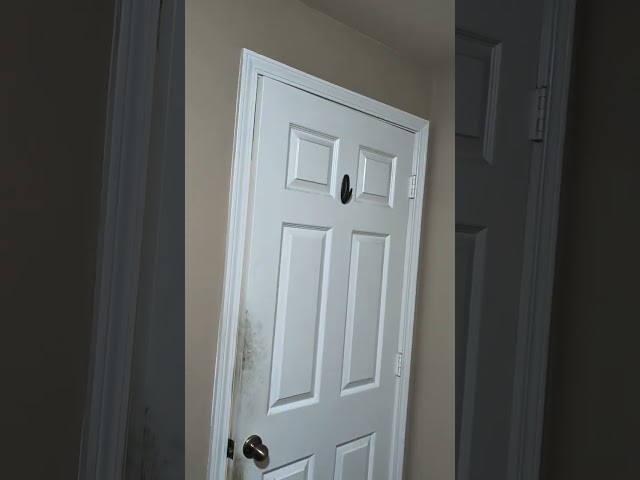 Judge Lori ANN Matheus Julia ANN Byse conspired with Will Hinds to modify a Macintosh before Class C