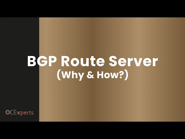 BGP Route Server