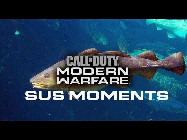 sus COD Moments