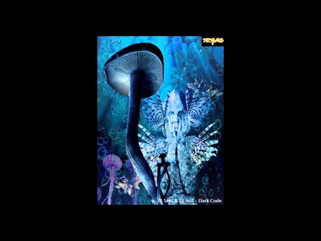 Dj Sepi & Dj Bull - Dark code