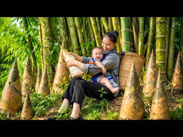 single mother and son harvest giant bamboo shoots and make traditional spicy pickled bamboo shoots