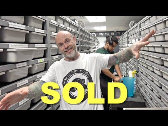 Showing $100,000 Dollars Worth Of Snakes Sold !!