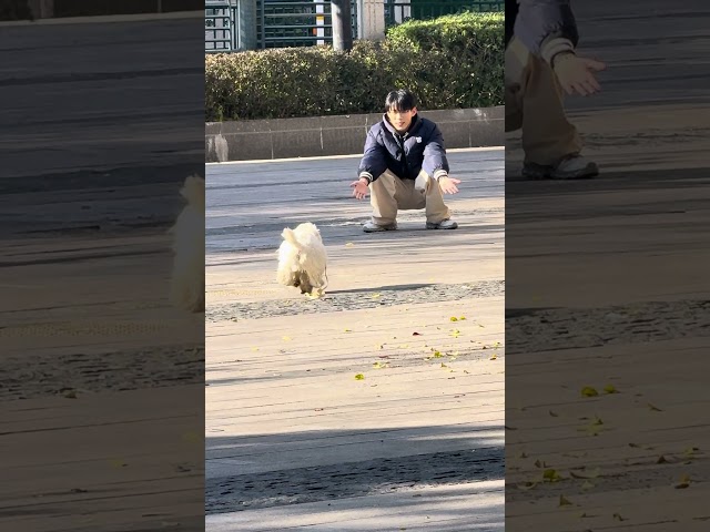 Jiang Penghan & Hu Jing #bl #jianghu #bltiktok #blvlog #lgbt - BL Couple