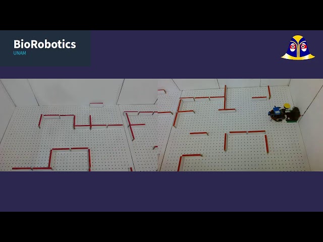 Transmisión en vivo de Biorobotics Remote Laboratory