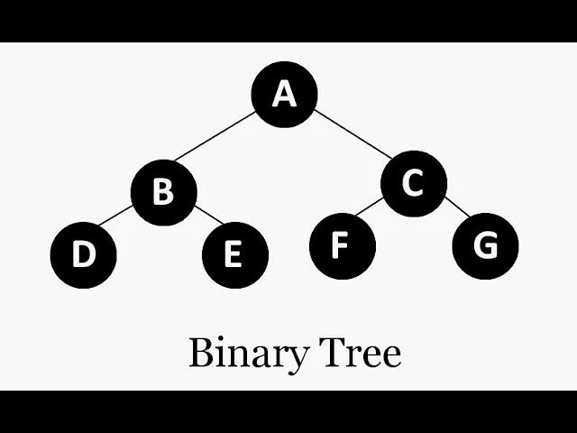 Binary Tree in C