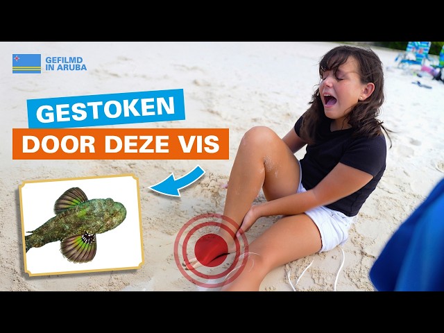 🎬 Verhuizen - UNICEF Kinderrechten Filmfestival
