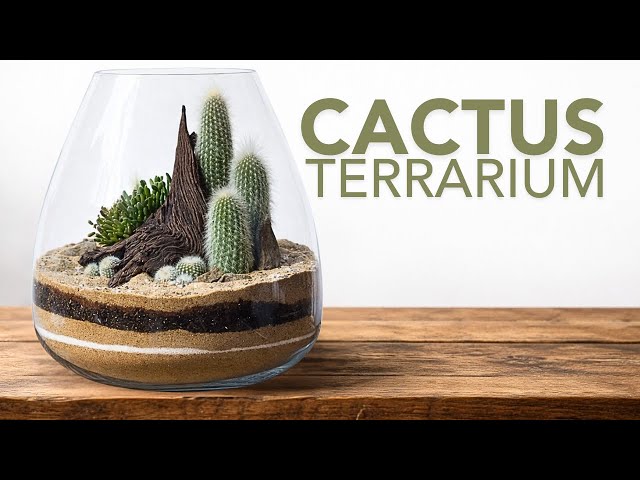 DIY Desktop Desert: Step-by-Step Cactus Terrarium Tutorial for Beginners