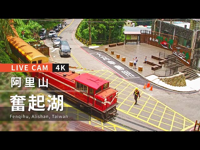 【4K Live】Fenqihu in Alishan, Taiwan｜4K Live cam-Alishan