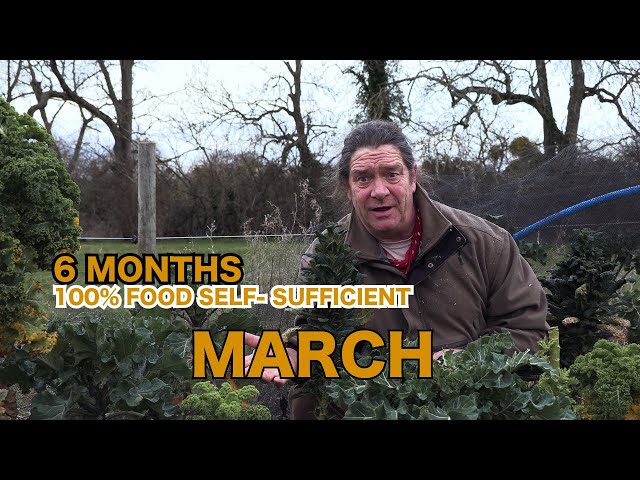 6 Months Living 100% Food Self-Sufficient |  Episode 12