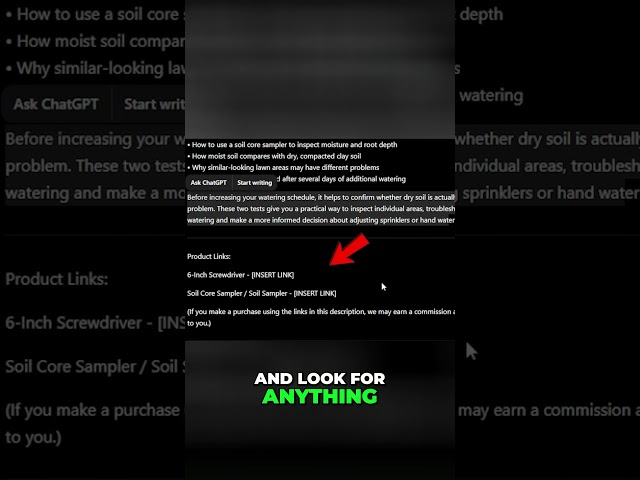 Boost YouTube SEO: Killer Descriptions & Monetization Tips!