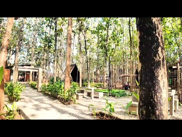 A Peaceful Escape in the Teak Forest 🌿🌳