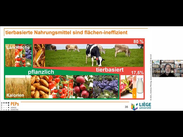 Klima-Wende-Zeit. Was uns Szenarien-Simulationen über die Zukunft erzählen.