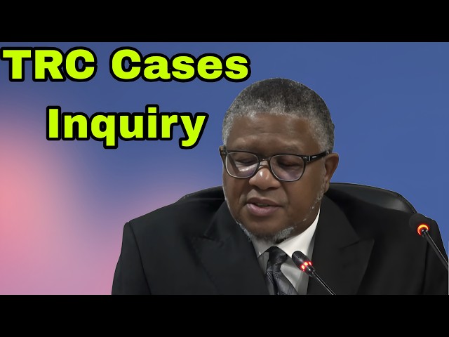 Fikile Mbalula Testimony at TRC Cases Inquiry LIVE.