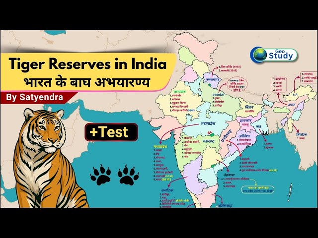 Tiger Reserves in India | भारत के बाघ अभयारण्य | 58 Tiger Reserves | Indian Geography | Geo Study