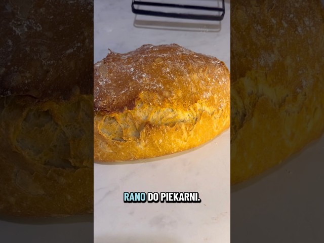 Quick no-knead bread | Mixed with a spoon, baked from a cold oven