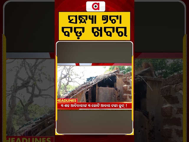 ସନ୍ଧ୍ୟା ୭ଟା ବଡ଼ ଖବର | 7 PM Headlines | Today Top News | Big Breaking | Odisha Update | Argus News