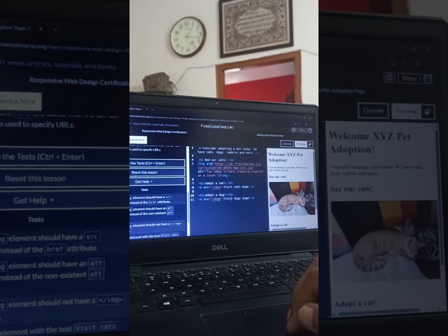Day 2 of learning coding without a degree #coding #discipline #shorts #youtube