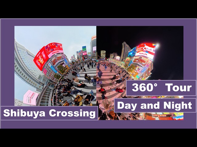 360° Shibuya Crossing Walk #japan #shibuya #shibuyacrossing