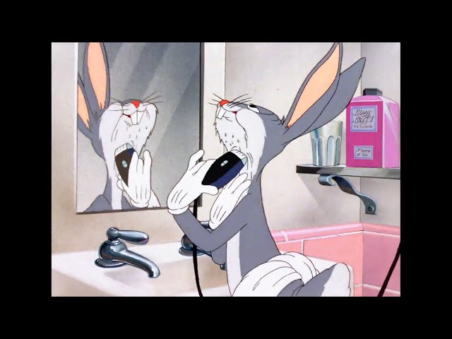 Looney Tunes but it's just memes.