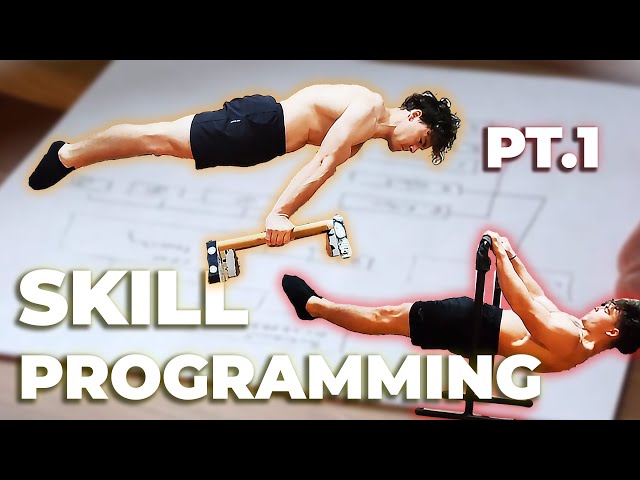 Programming for Calisthenics Skills pt1. (Training Principles)