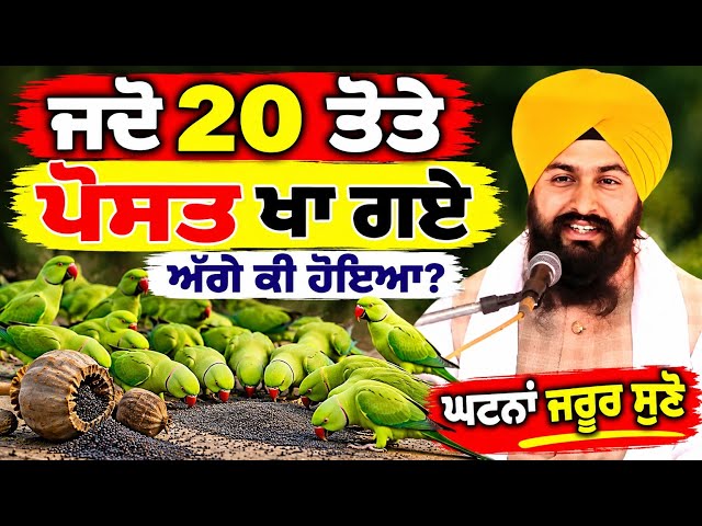 ਜਦੋਂ 20 ਤੋਤੇ ਪੋਸਤ ਖਾ ਗਏ ਅੱਗੇ ਕੀ ਹੋਇਆ ਘਟਨਾਂ ਸੁਣੋ|| Bhai Sukhdev singh ji dalla  samagam by 2026