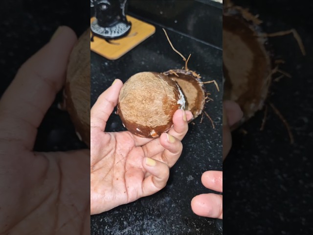 Coconut Hacks #kitchenhacks #cookinghacks #easyhacks #trending #foodhacks #quickhacks #kitchentips
