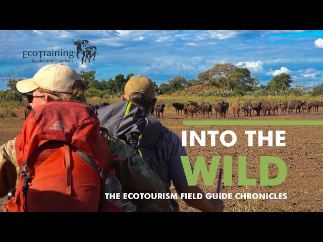 The EcoTourism Field Guide Chronicles | Episode 3 - Life & Learning in the Wild | EcoTraining
