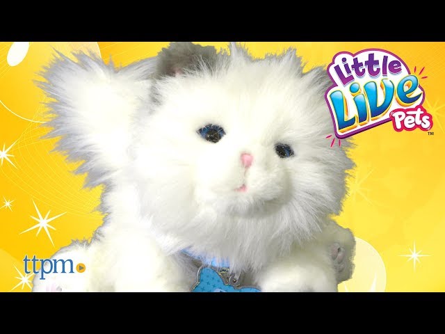 Little Live Pets Cuddles My Dream Kitten from Moose Toys
