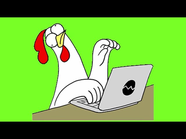 Animation Green Matte | Chicken Green Screen | Chroma Key